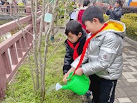 植树节这天，我们播希望